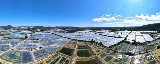 罗氏沼虾产业发展现状及主要问题 - 知乎