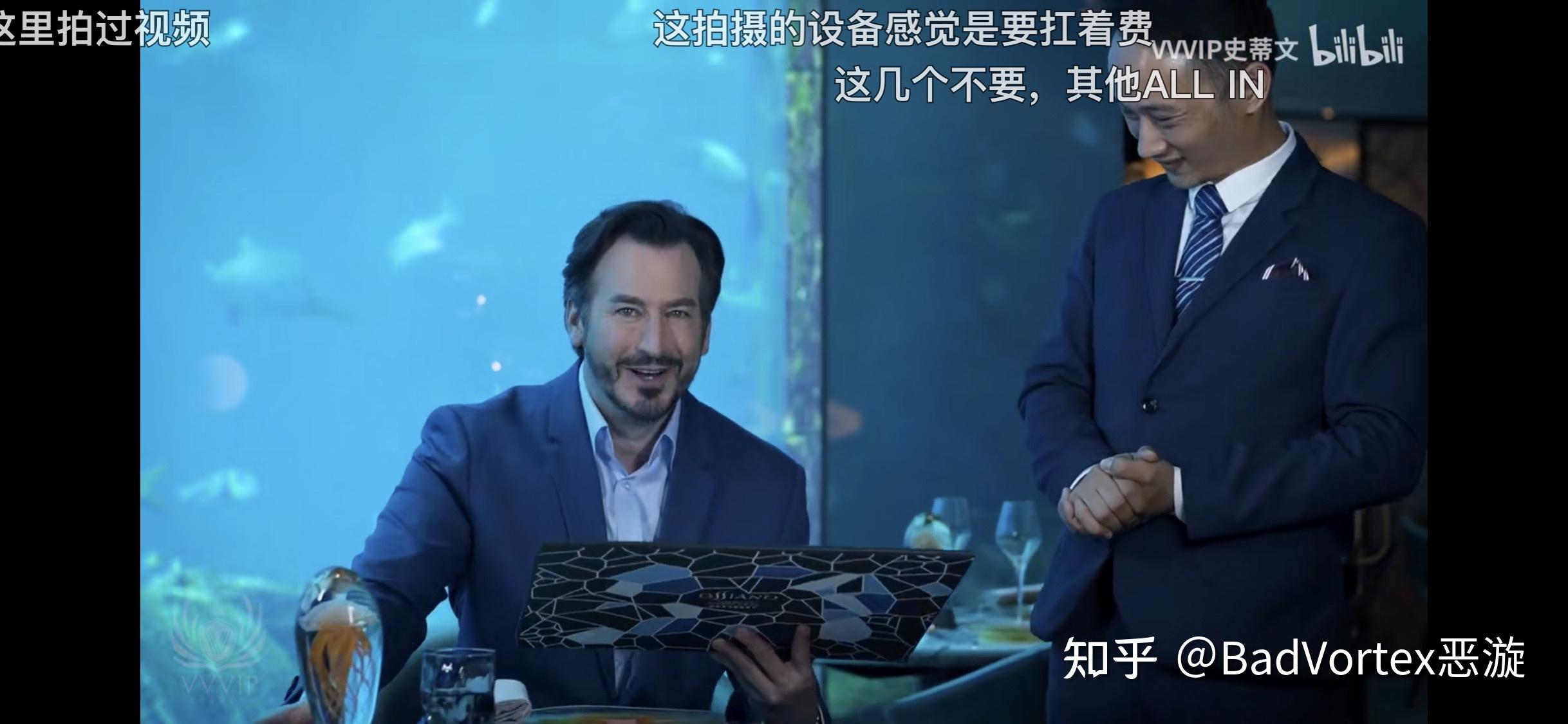 如何评价b站up主vvvip史蒂文