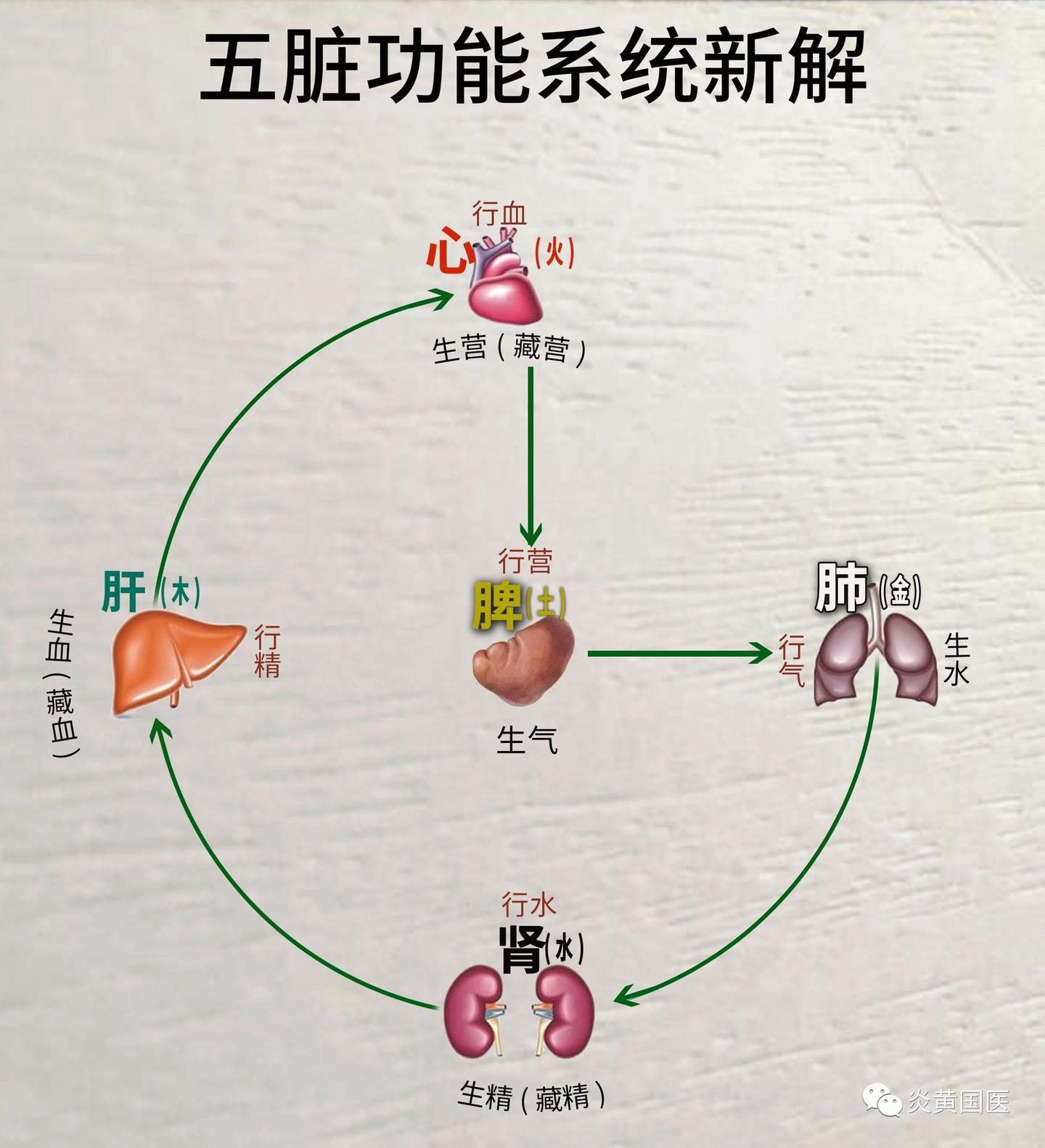 五脏关系与“五邪”之说 - 知乎
