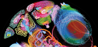 【AI4Science】Scientific discovery in the age of artificial intelligence - 知乎
