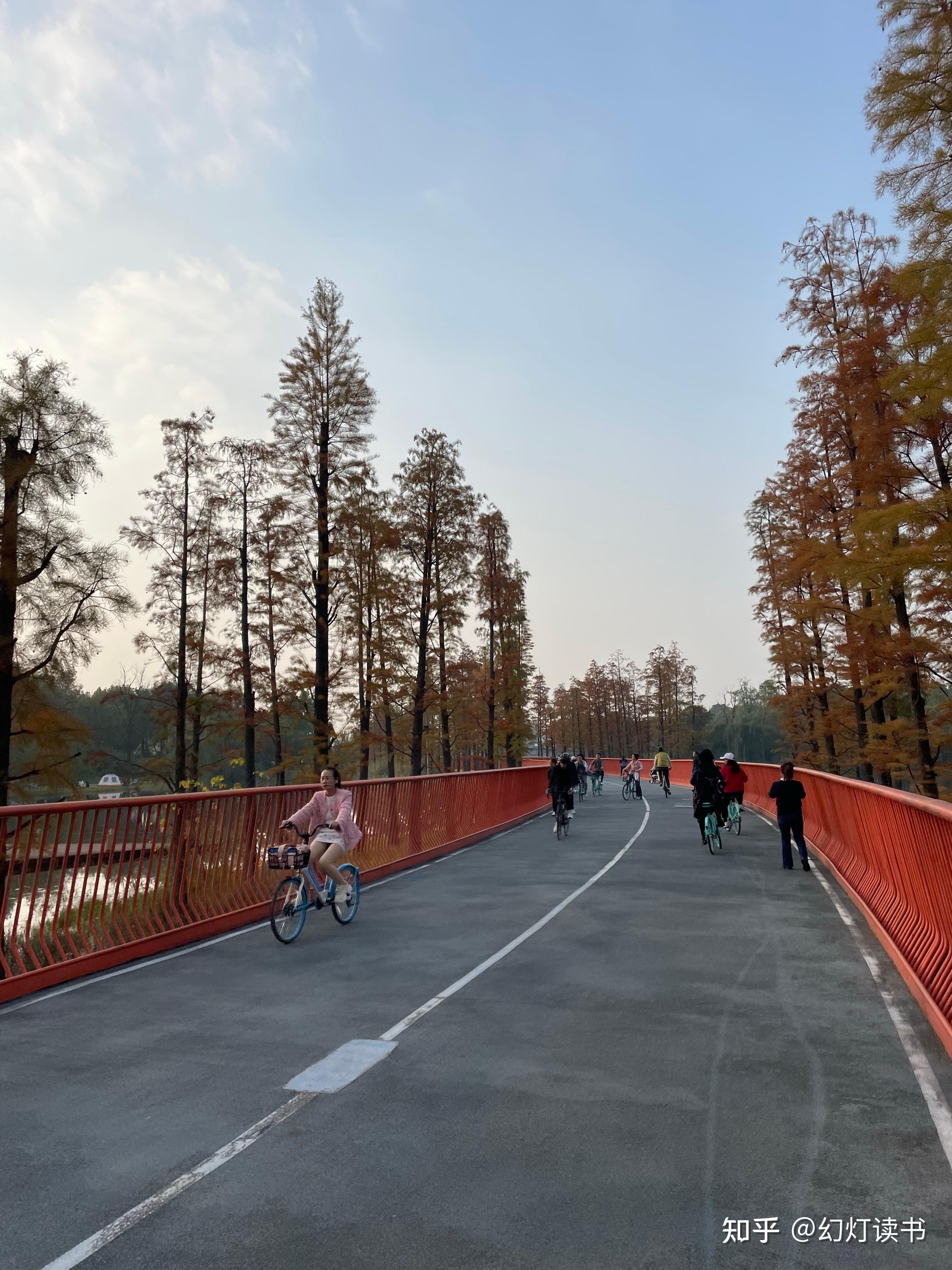 上海东岸滨江绿道,自行车限速 15km/h,配有雷达测速,如何看待此规定?