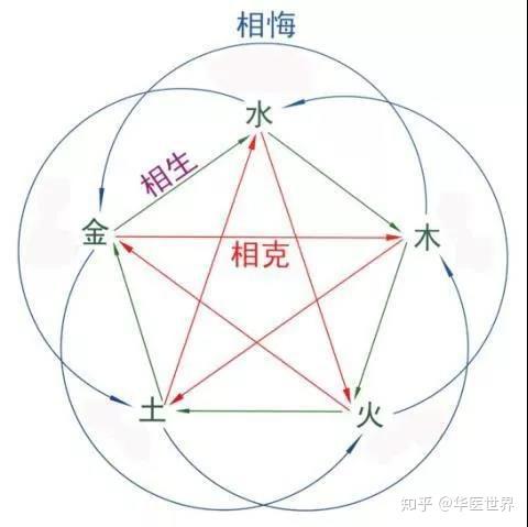 名医郝万山解读“中医五行”:“木气”的运动是“生”而非“升” - 知乎
