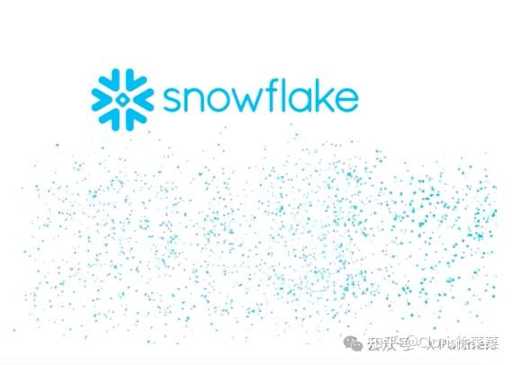 Snowflake的权利核心构成 - 知乎