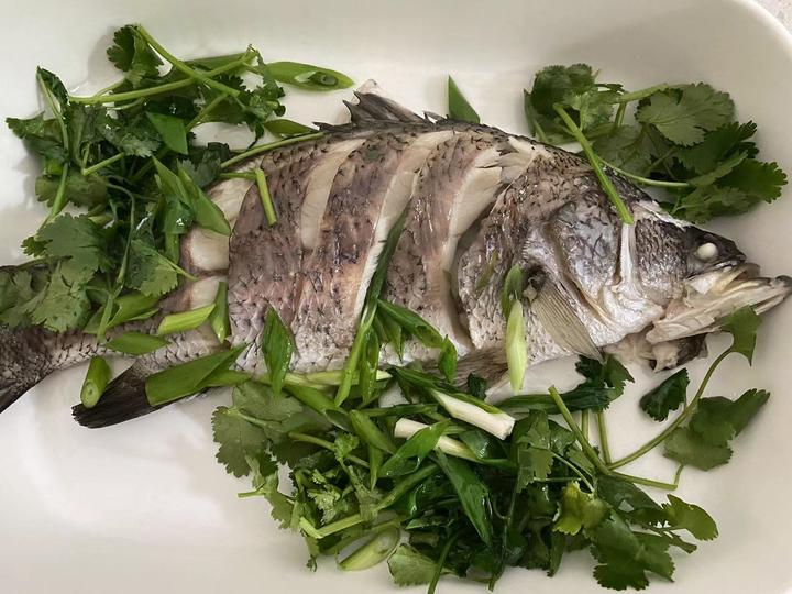 【清蒸Barramundi】股神食谱之最爱的鱼种（建议收藏） - 知乎