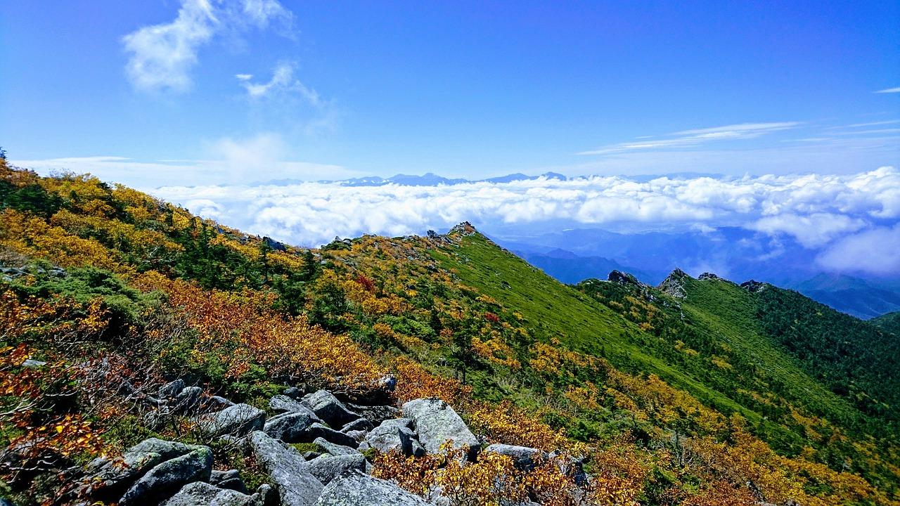 2. 便捷交通枢纽