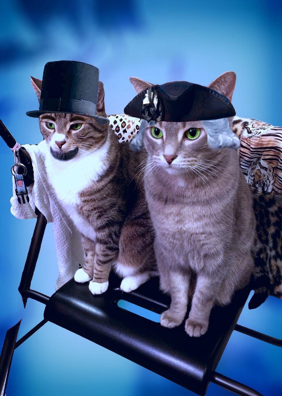 王石为什么卸任