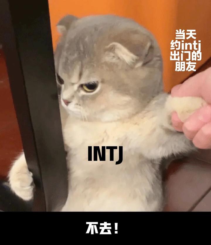 为什么INTJ是很可怕的人格 - 知乎