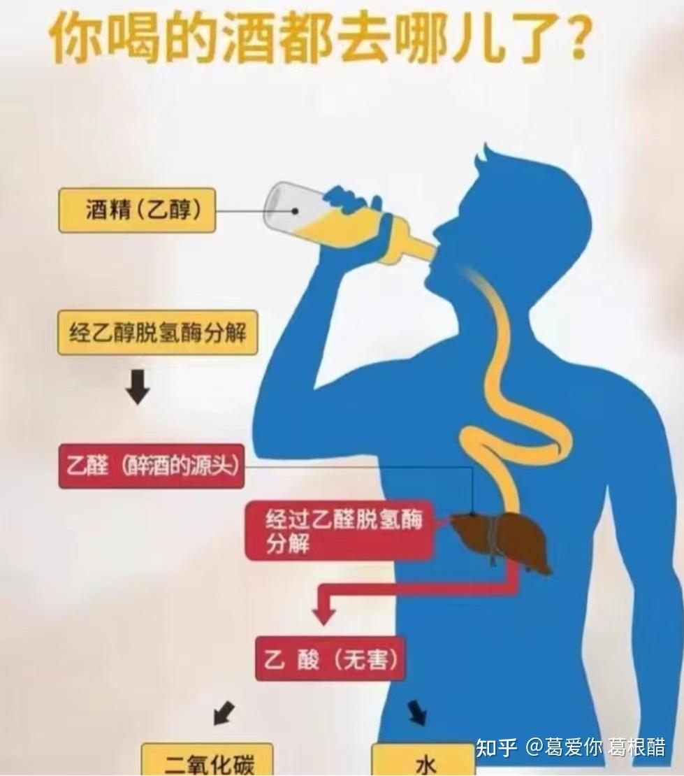 喝白酒喝醉后怎样快速地解酒? - 知乎