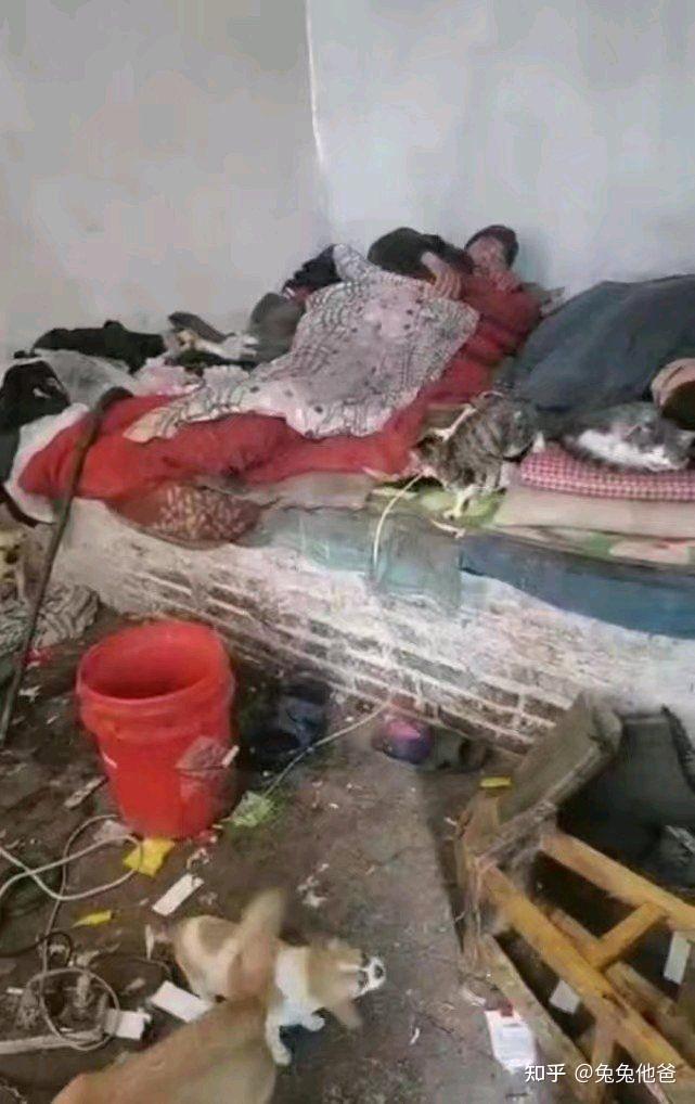 如何看待通辽扶贫干部怒怼懒汉父子