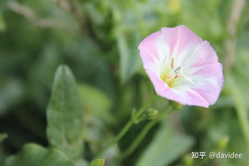 I 94x 3 31 24x 2 dx i-94x-3-31-24x-2-dx