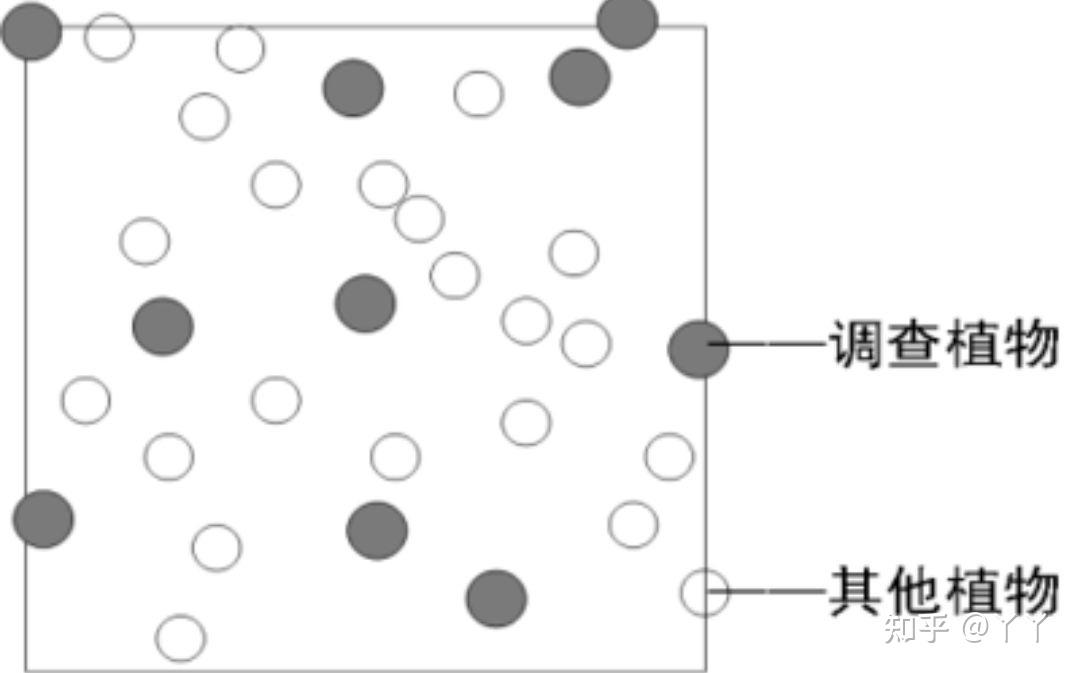 为什么调查蓝鲸的种群密度仍然要用标志重捕法? - 知乎