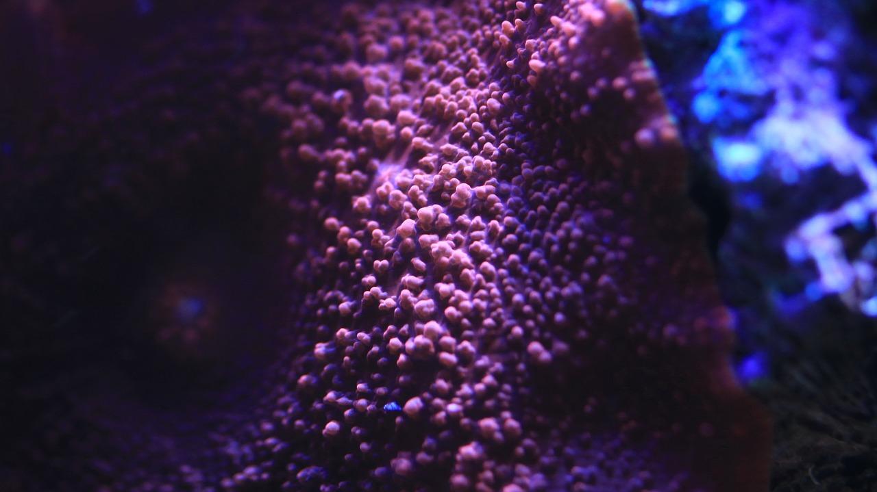 海洋馆层高多少