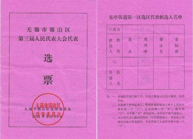 中国的选票是什么样子