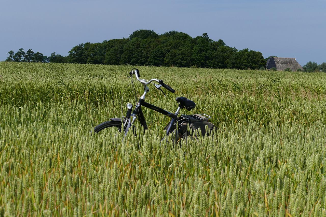 粮食宝贵,节约光荣