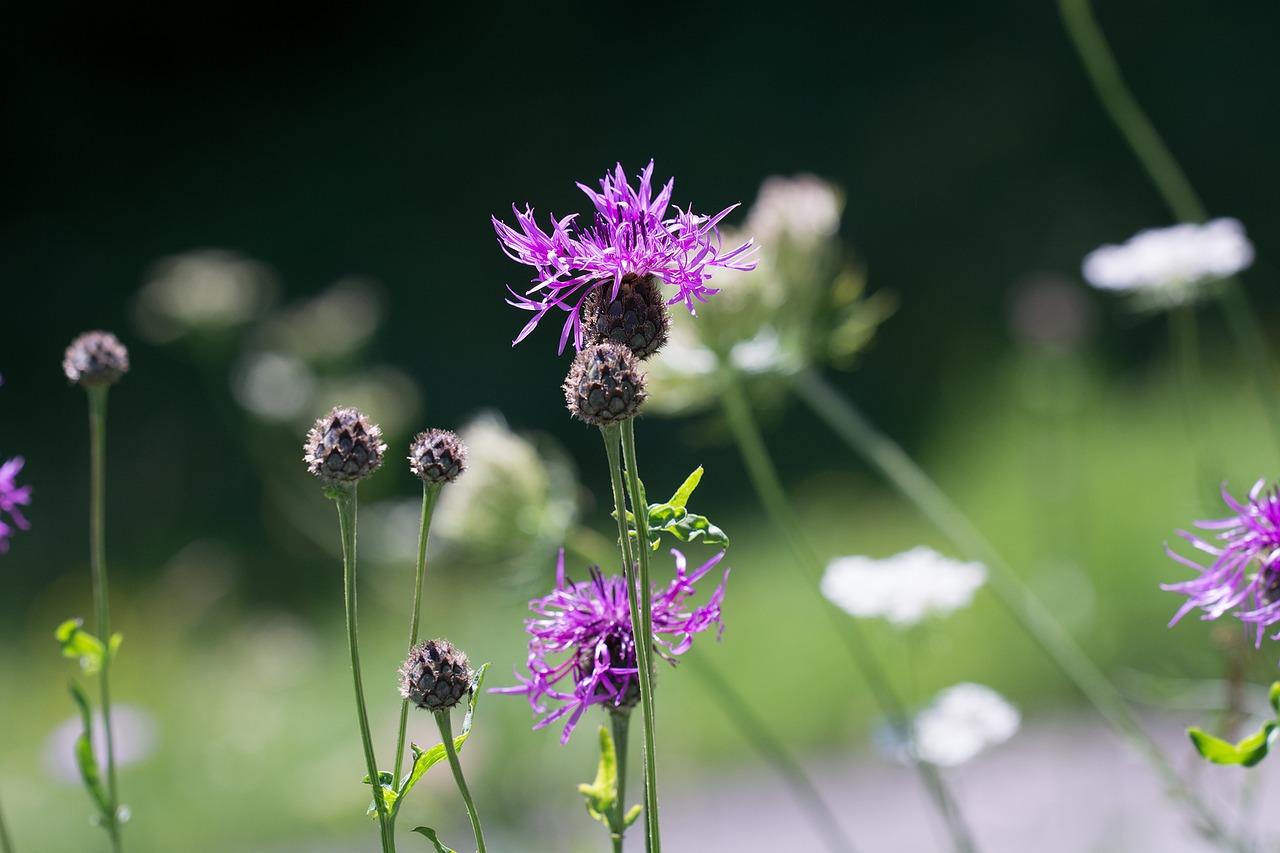 室外草地结婚多少钱
