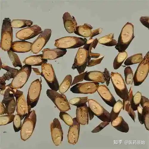 带你识别桃枝 - 知乎