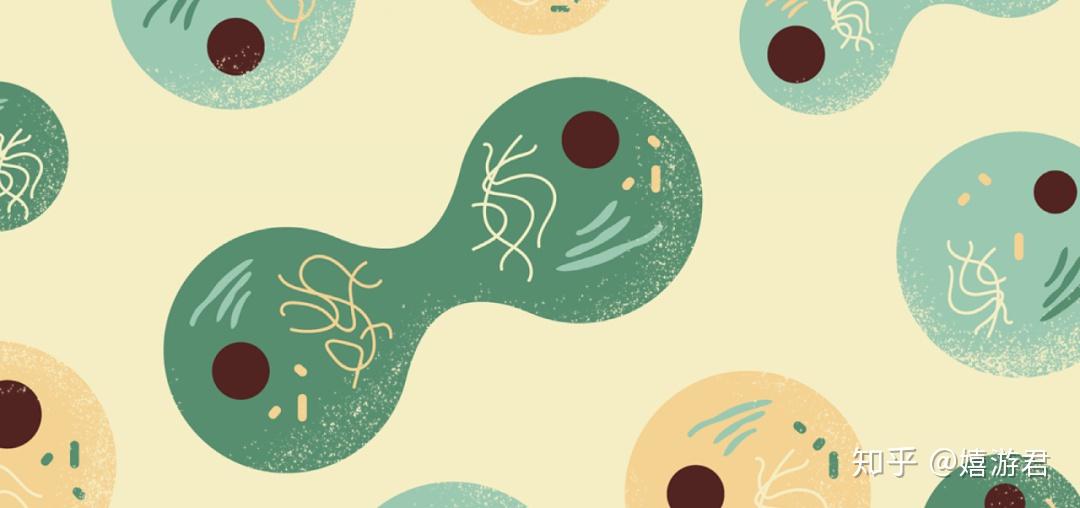 阿那亚有哪些值得游玩打卡的地方?-阿那亚有哪些值得游玩打卡的地方景点