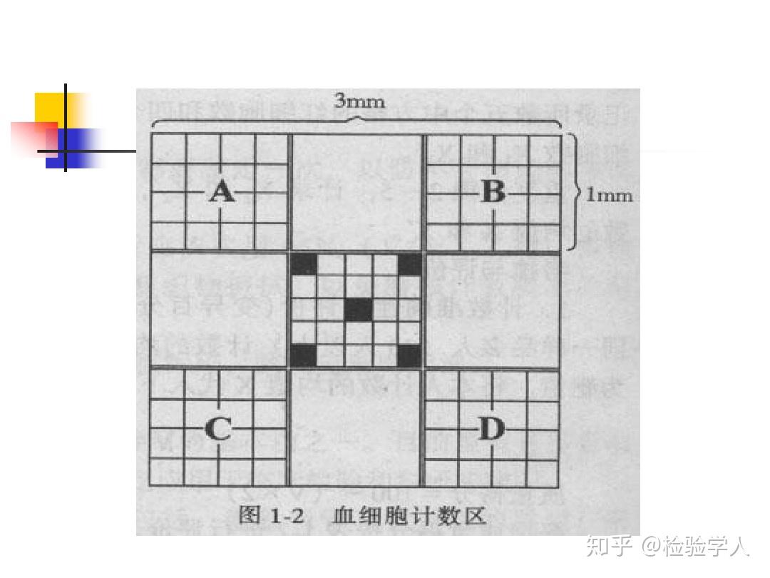 医学检验白细胞计数有什么易懂的计算方法吗? - 知乎