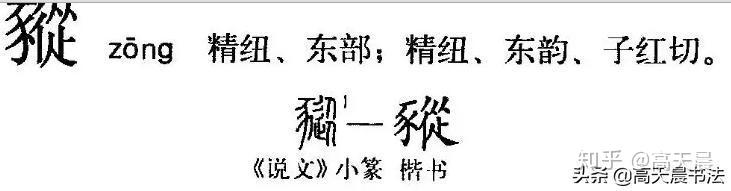 “猪”与“家”的汉字演变与文化内涵 - 知乎
