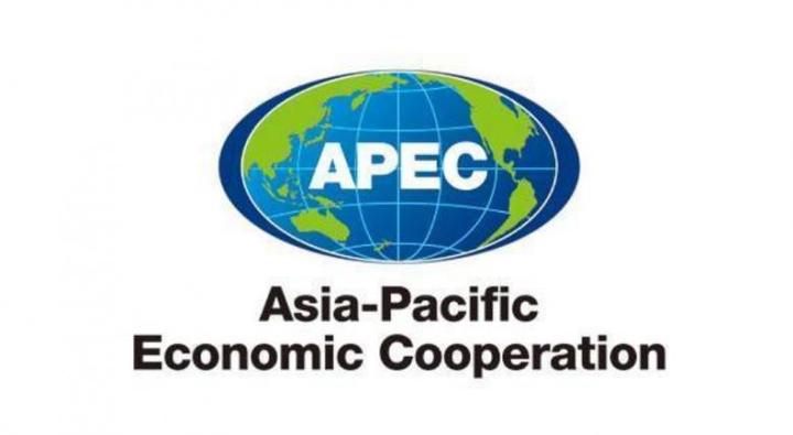 apec商旅卡通关神器5年免签畅行16国
