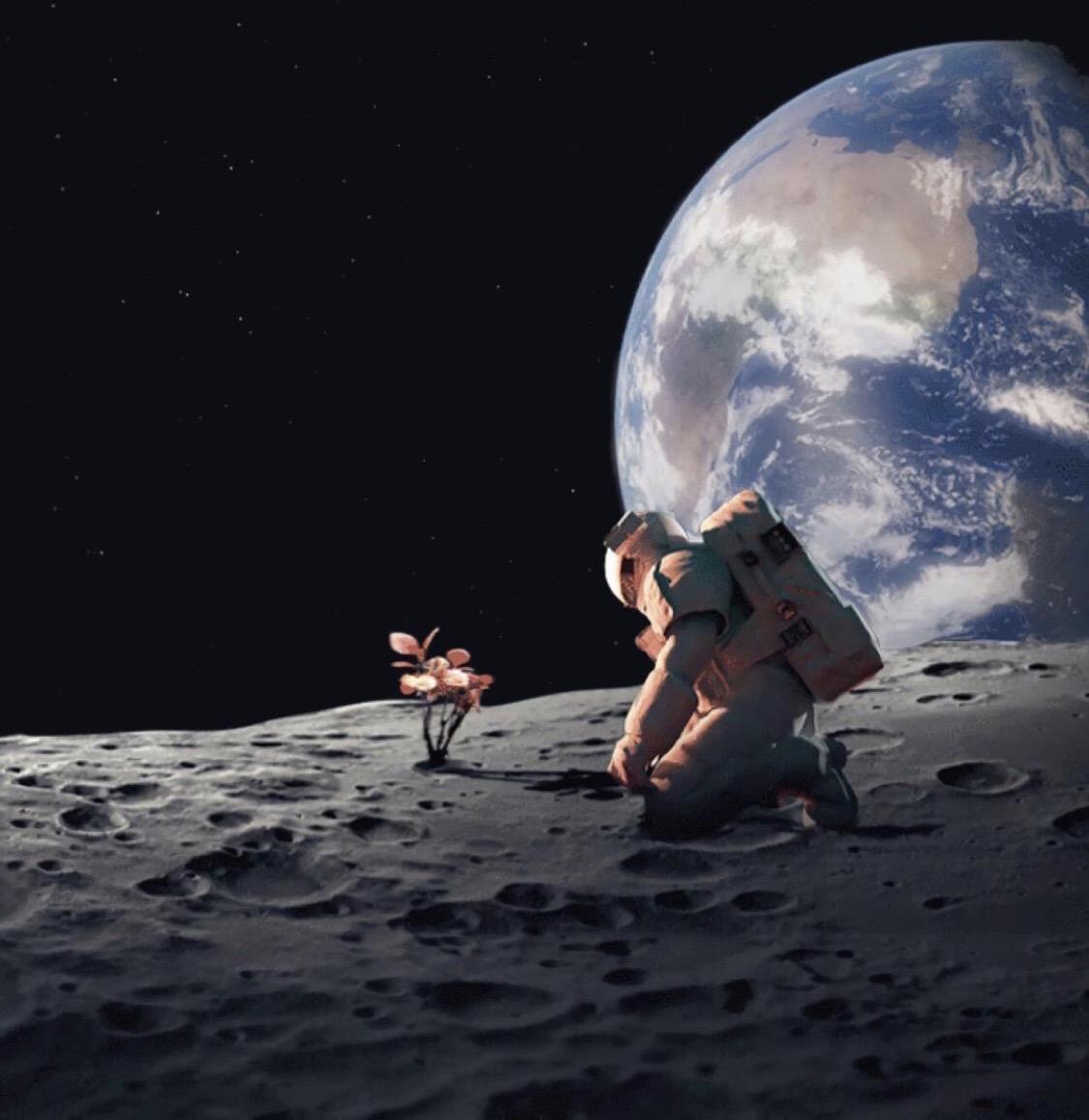 有没有什么惊艳的微信头像?-特别惊艳到人的微信头像