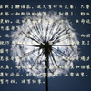醒醒
