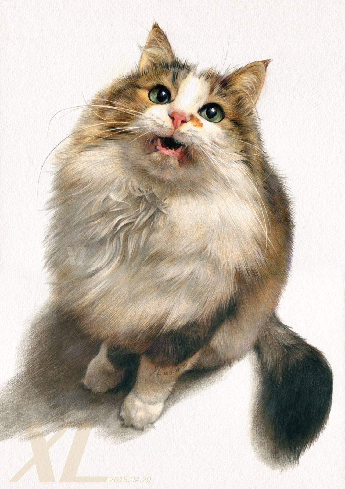 介绍几个写实派的彩铅大师