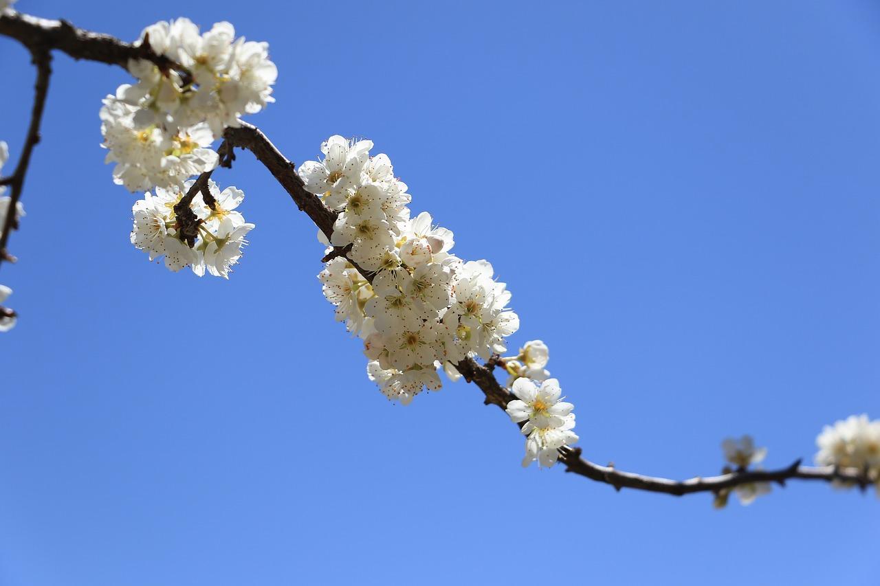 4. 小贷公司位置