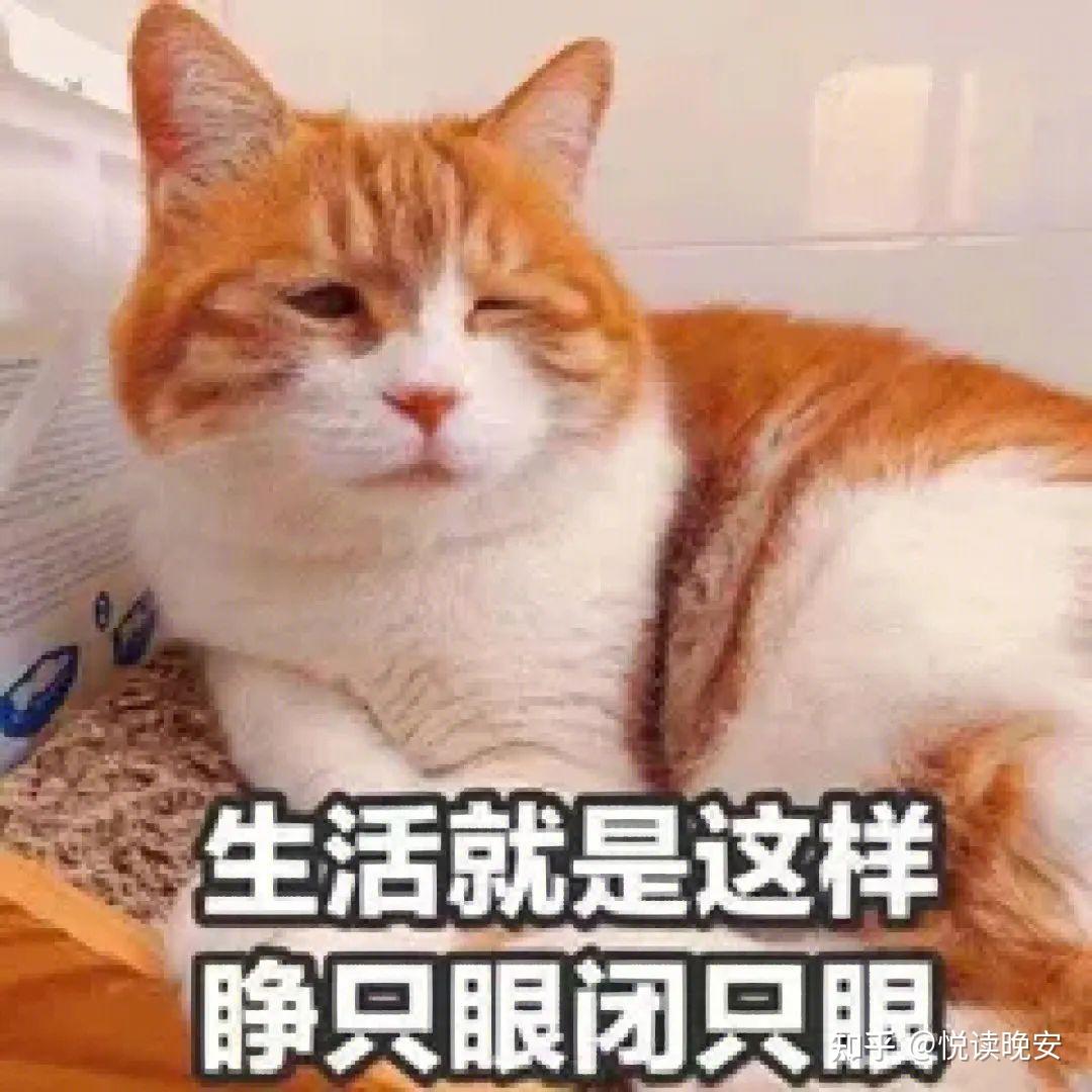 有什么好用的meme梗图和表情包搜索引擎或网站? - 知乎