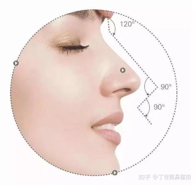 鼻子审美的几个角度——鼻额角、鼻唇角、鼻面角 - 知乎