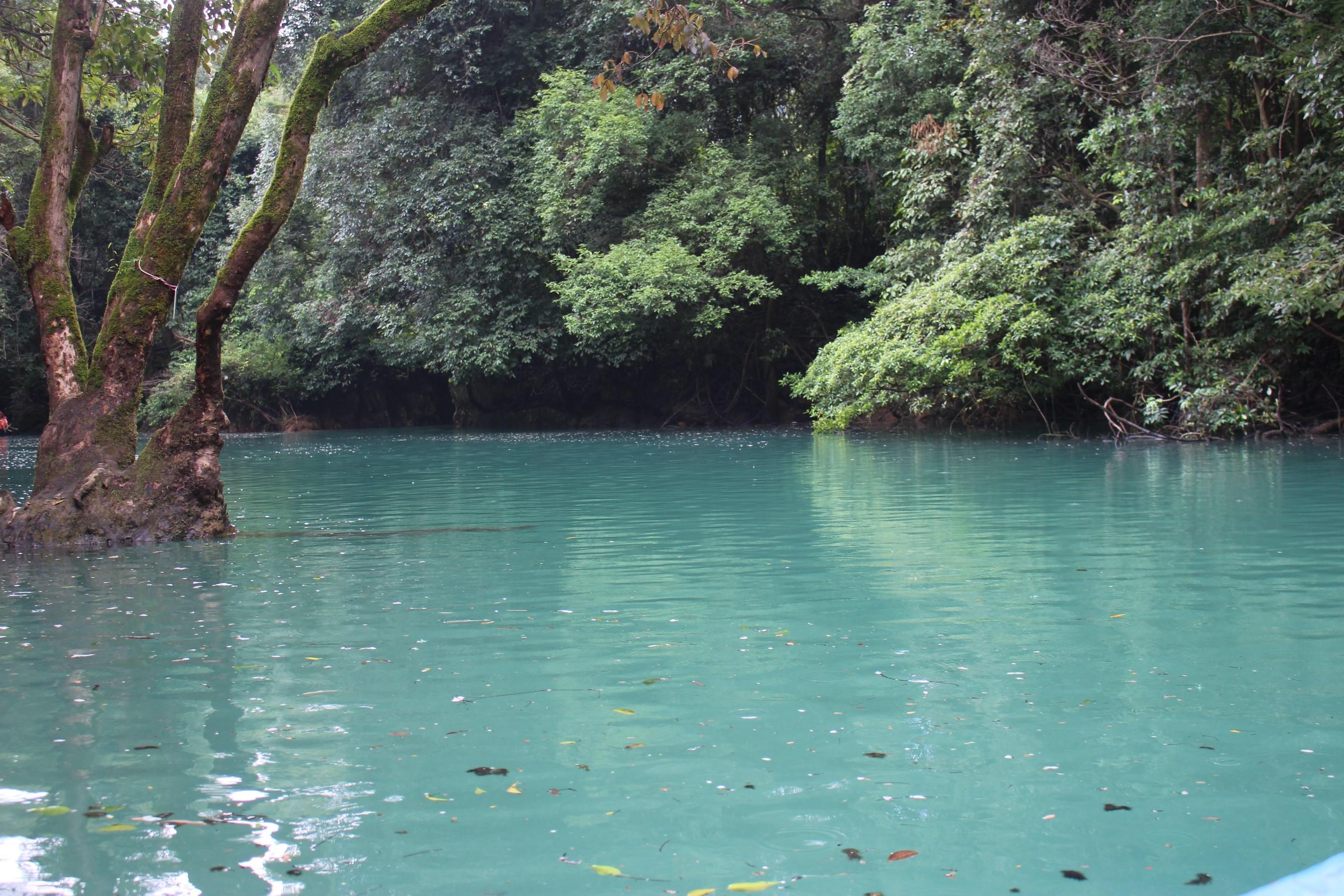 去贵州玩,有什么好的旅游攻略?-去贵州旅游怎么玩?看别人在贵州5天4晚亲自体验(图文)