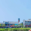 知晓先生