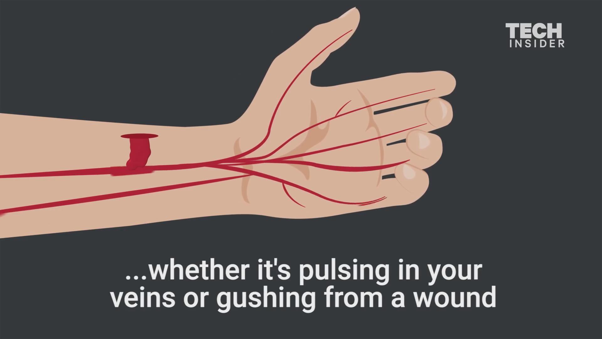 为什么动脉血是红色静脉血是蓝色但是出血时候都是红色