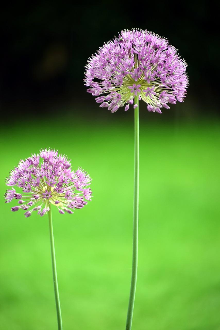 5. 户型设计精粹