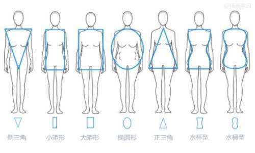 女性课 女性的六种体型 知乎