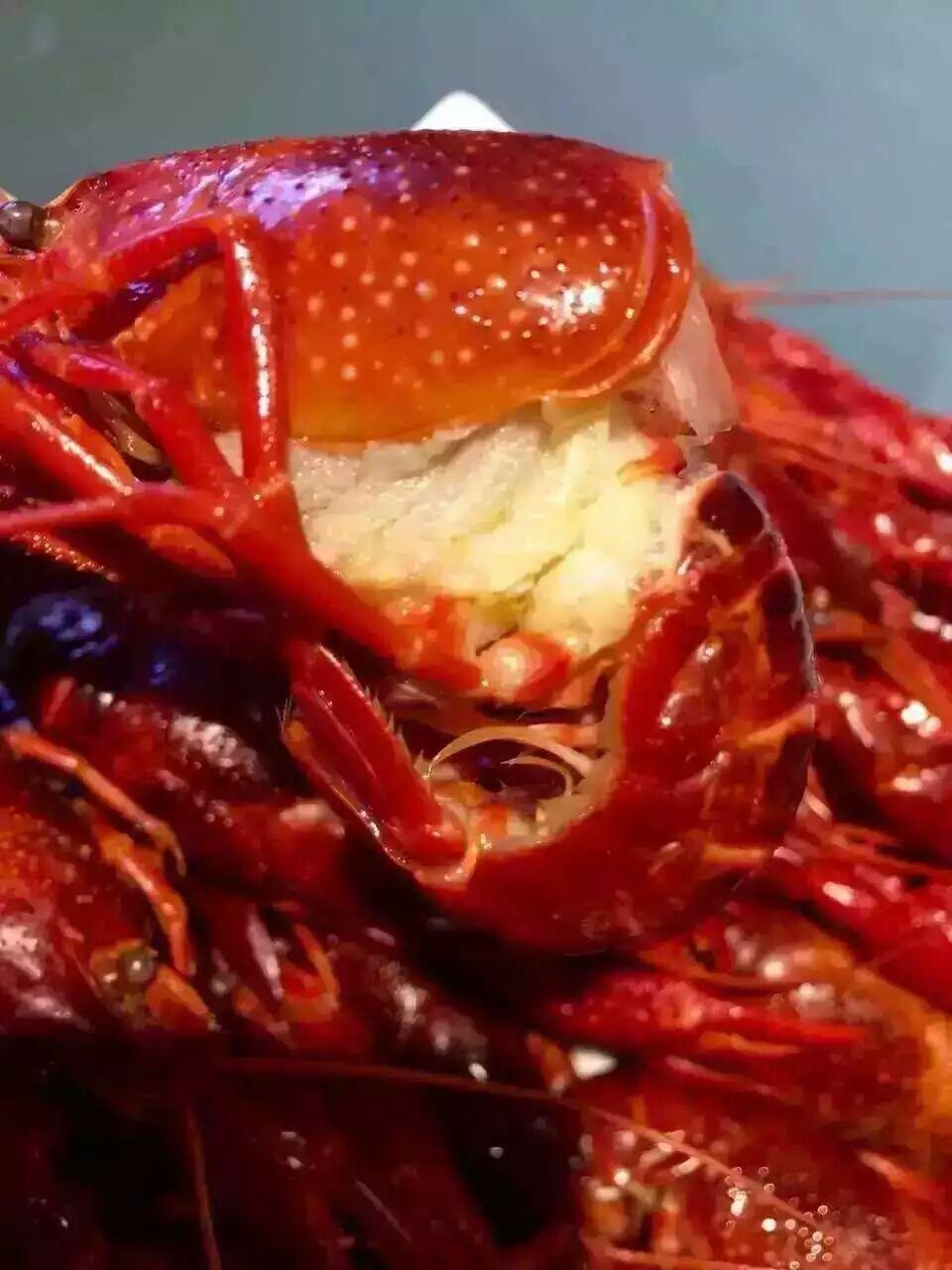 请问白腮虾怎么挑选自己创业做麻辣小龙虾腮总是黑黑的请问该如何挑选