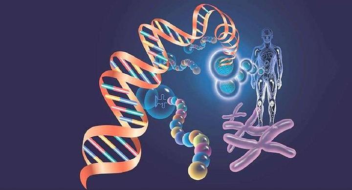 科普核酸药物与小分子和抗体药物相比有哪些明显优势