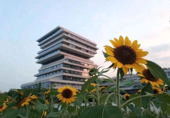 杭州师范大学大一新生开学时间9月22-23日,大一的新生今年在下沙校区