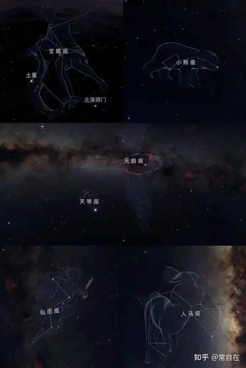东西方各类术数的比较与分析:大宗术数 - 知乎