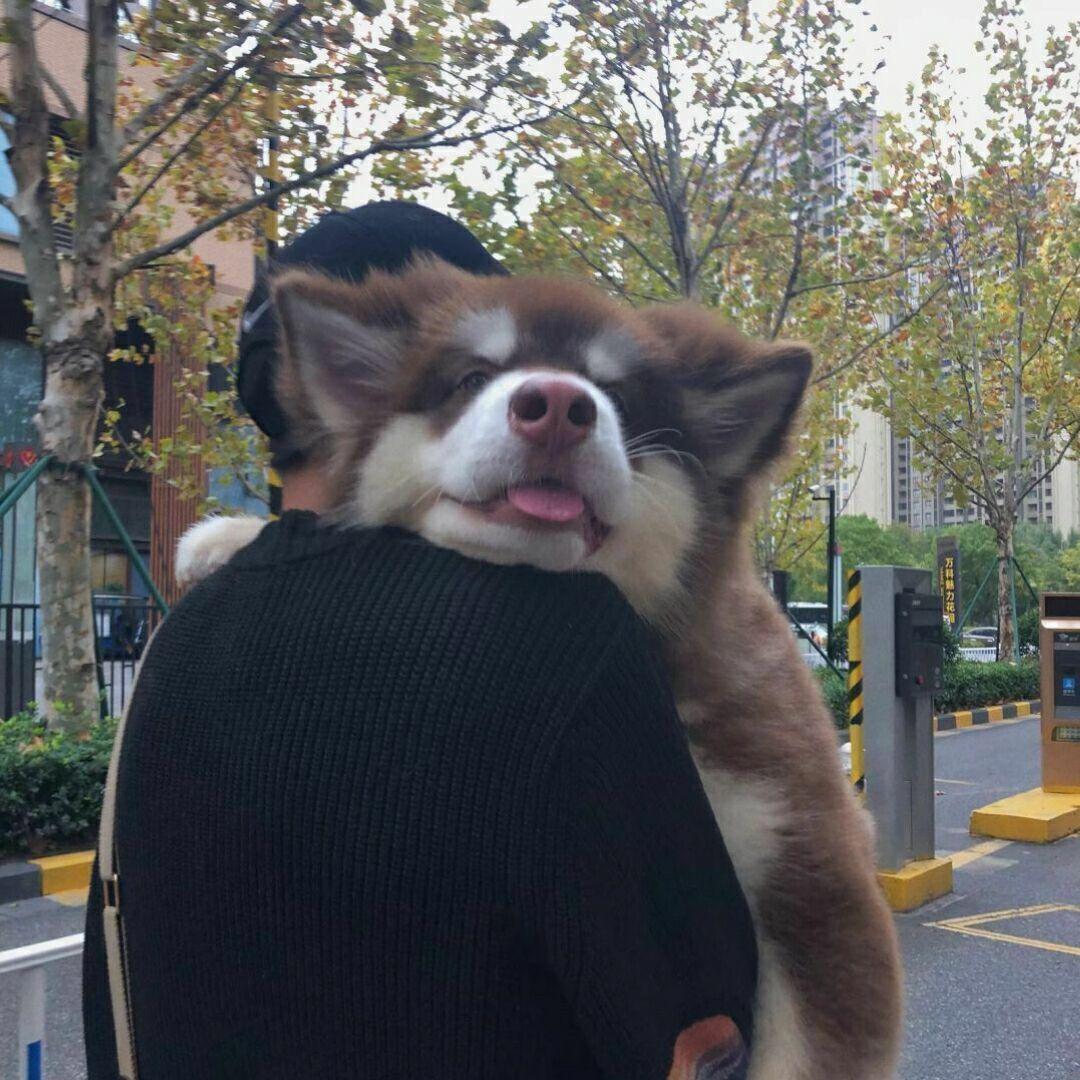 有没有可可爱爱憨憨的男孩子头像啊