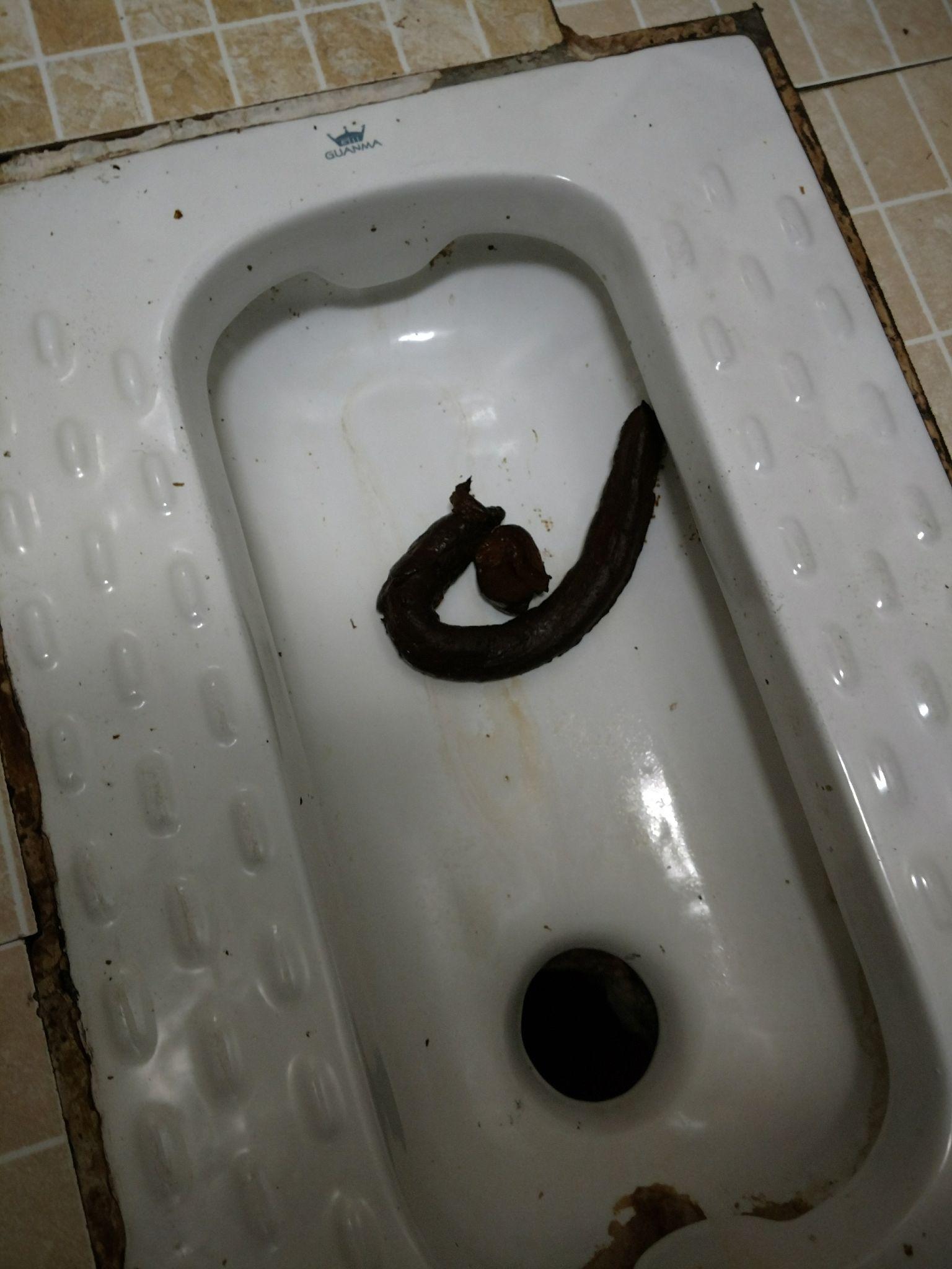 如何拉出一根 50 cm 长的屎? - 知乎