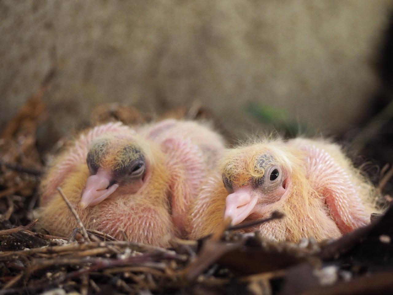 4. 使用寿命评估