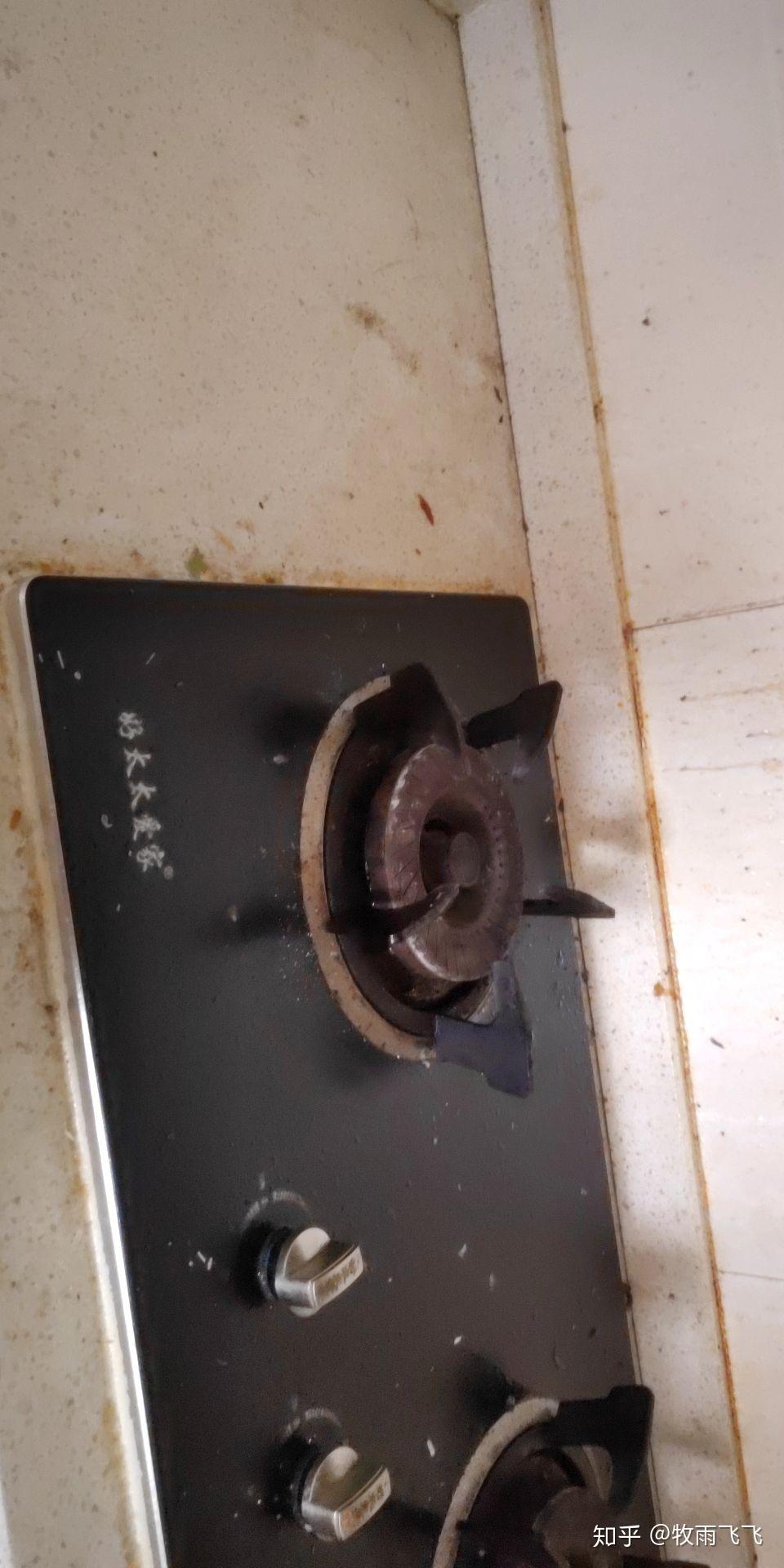 冰箱上的灰也是好几层这是厨房的洗碗池,细看还有虫子,看那干了的菜汤