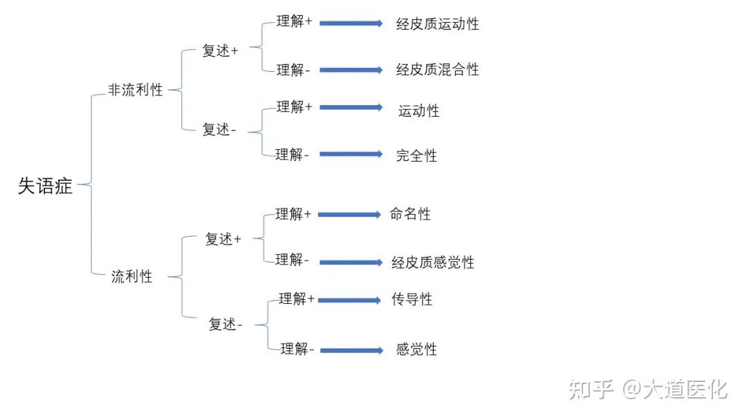 失语症的分型及诊断思路 - 知乎