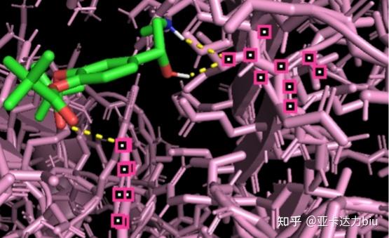 Autodock分子对接(完)-PyMOL可视化 - 知乎