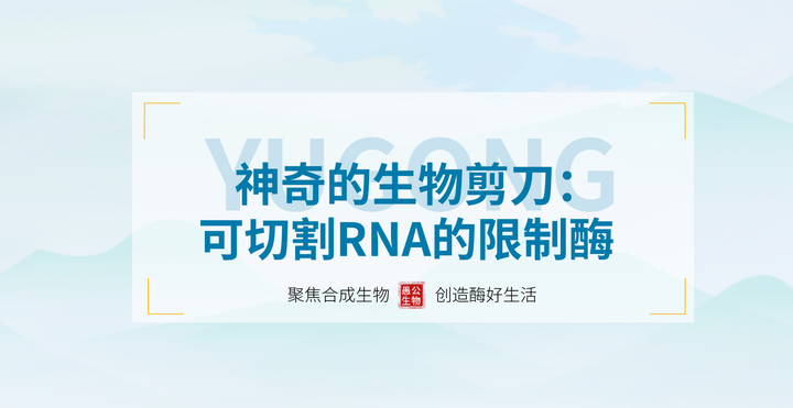 神奇的生物“剪刀”：可切割RNA的限制酶 - 知乎