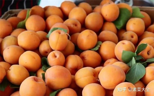 教你在家做杏干，1次买了50斤杏子制作，酸甜好吃有嚼劲，特简单 - 知乎