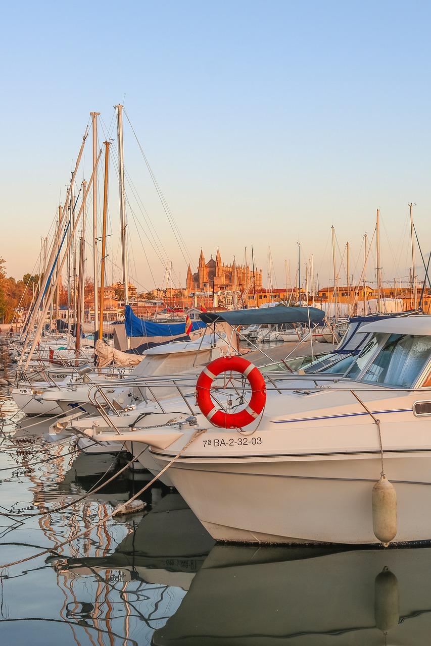 夕阳余晖映校园