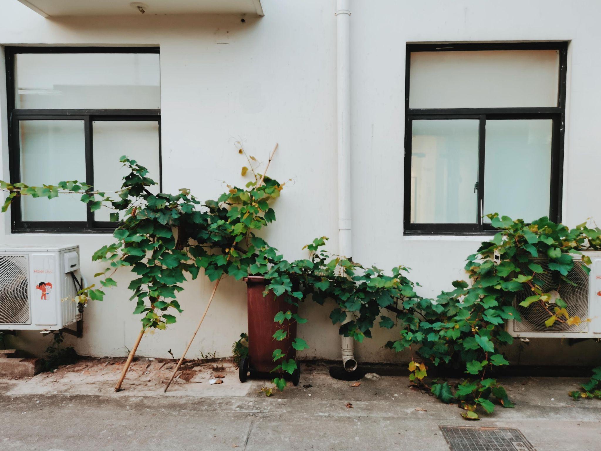 2021 年你朋友圈哪张照片获赞最高? - 知乎