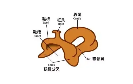 西部马鞍部件与构造 - 知乎
